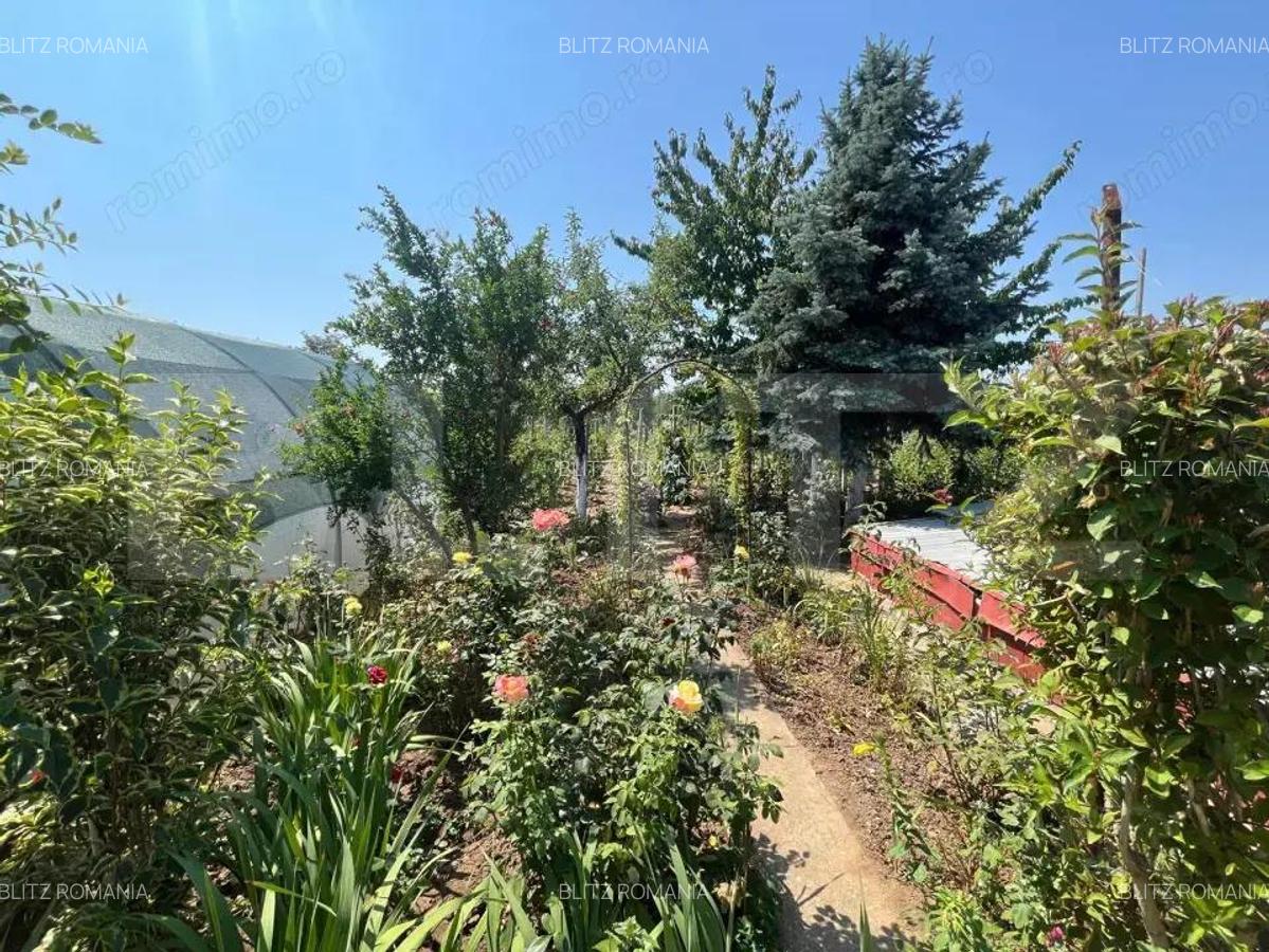 Proprietate formata din doua case si 1087 mp teren, zona Carcea - 4