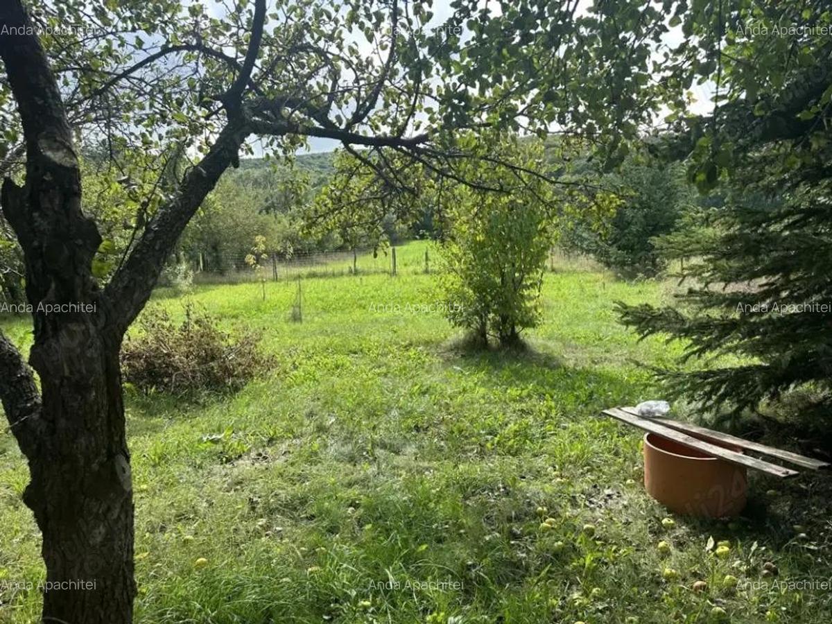 Casa Individuala cu teren de 2800 mp Ozun - 3