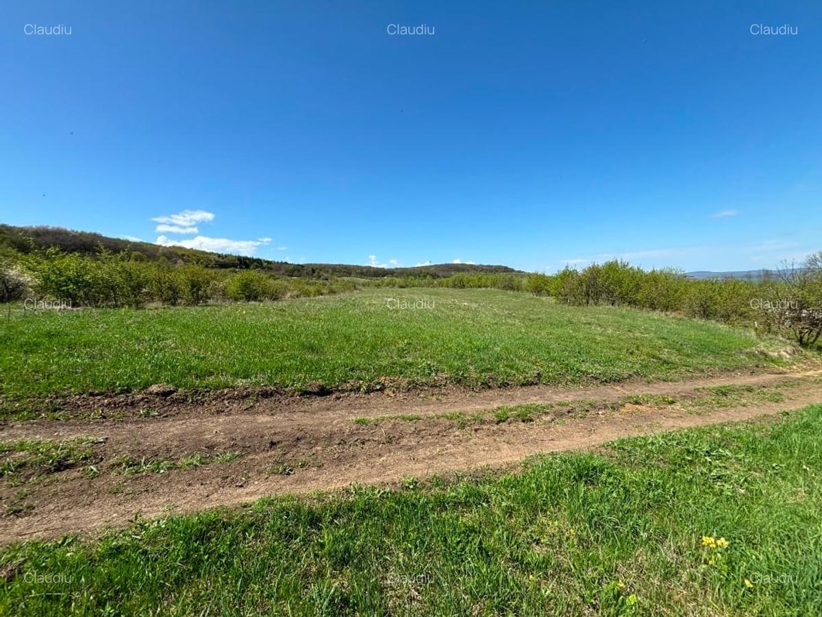 Oportunitate! Teren intravilan 3662 Mp, Front 32 mp,in sat. Padureni, Chinteni - 2