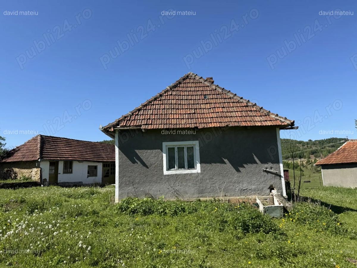 Vind casa in Tomnatic - 8