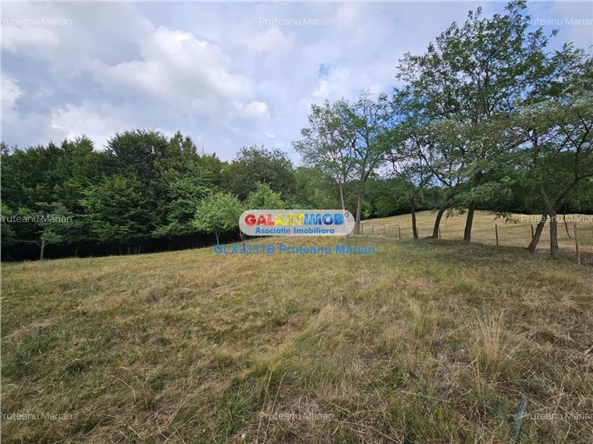 Vanzare teren 2680 m situat la Curtea de Arges cu iesire spre Transfag - 2