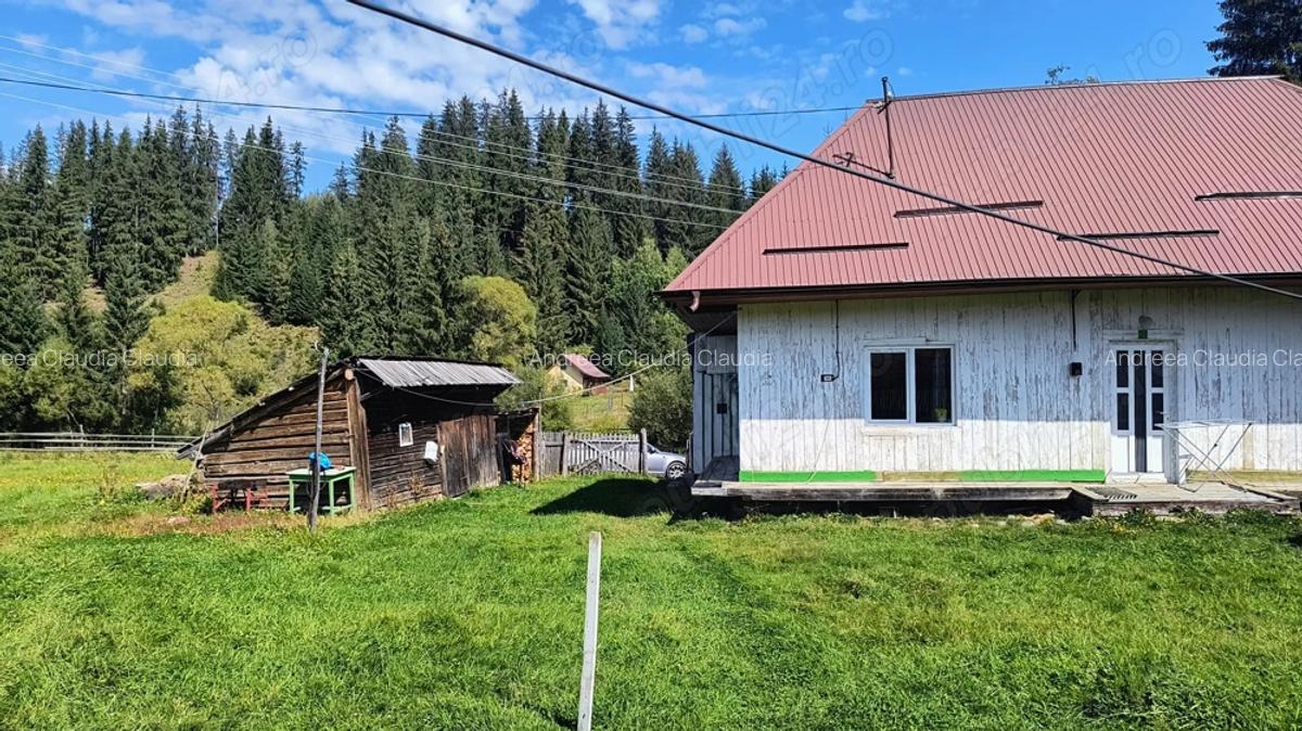 Casa in Plaiul ?arului - 8 Casa in Plaiul ?arului - 8