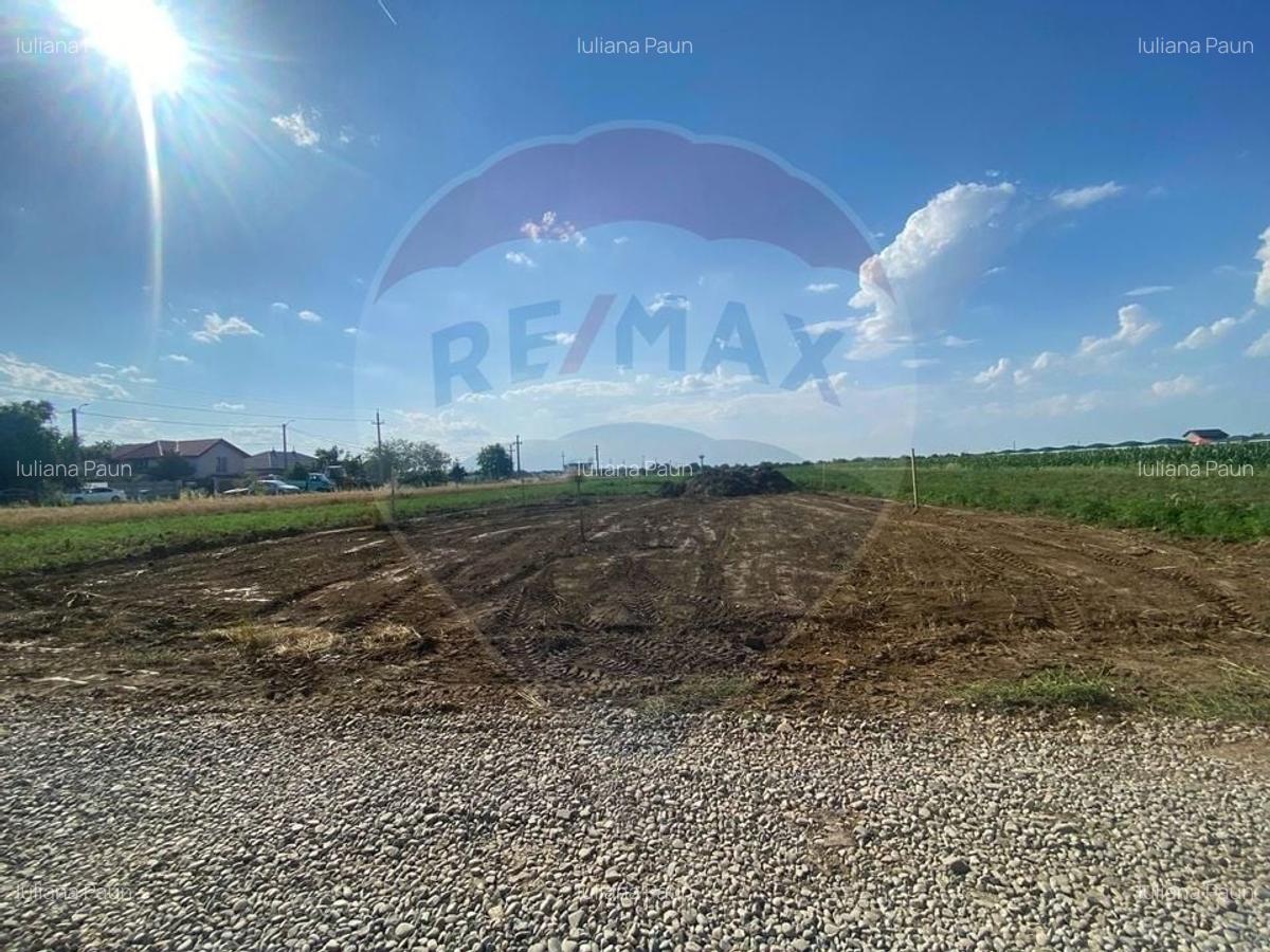 Teren 409 mp Varteju, Magurele - 4