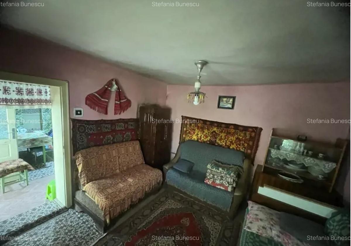 Casa individuala de vanzare | 100 mp utili | teren 2300 mp - sat Rusi - 4