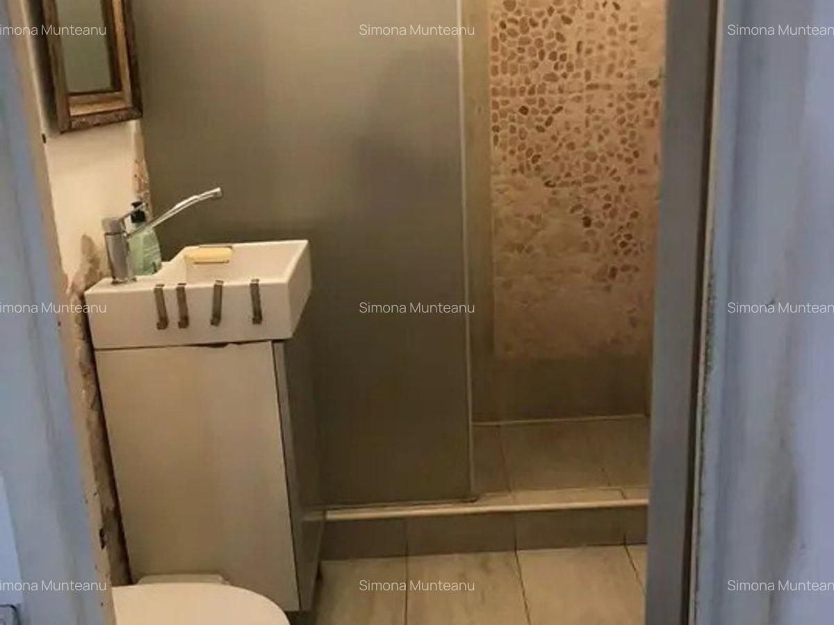 3 camere Decomandat, Victoriei, Titulescu, Mobilat si Utilat - 15