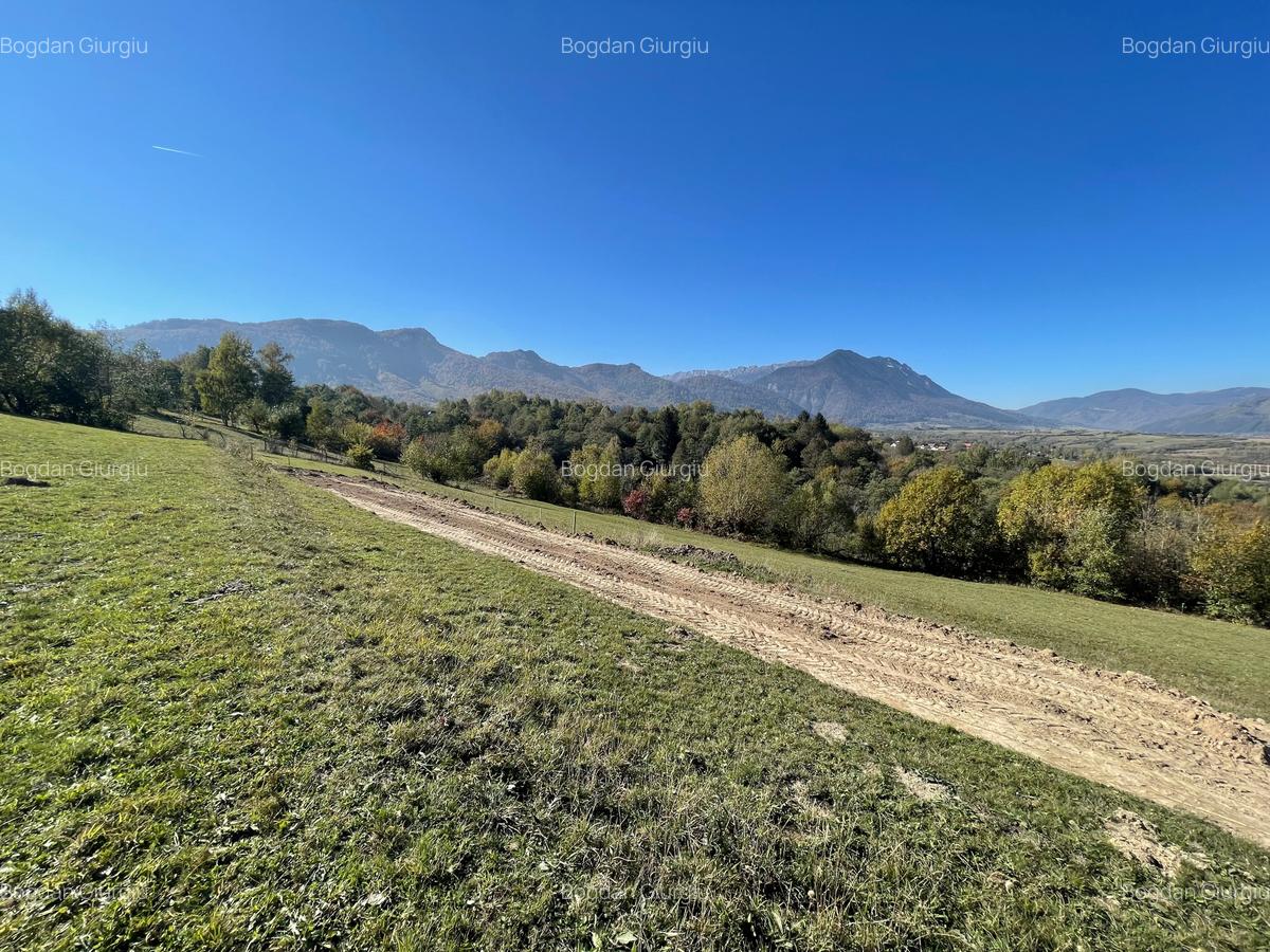 Teren intravilan loturi intre 500 si 1000 m la 5 km de Moieciu - 2