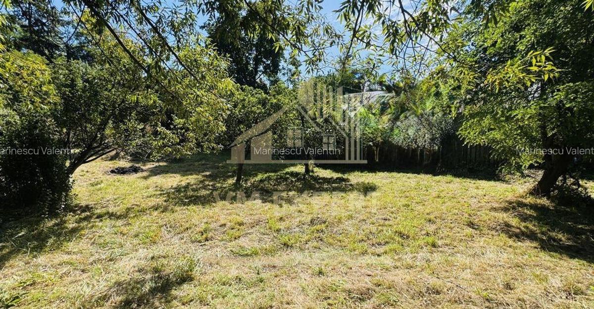 TEREN INTRAVILAN 3234 MP LERE?TI VOINE?TI ARGE? - 7