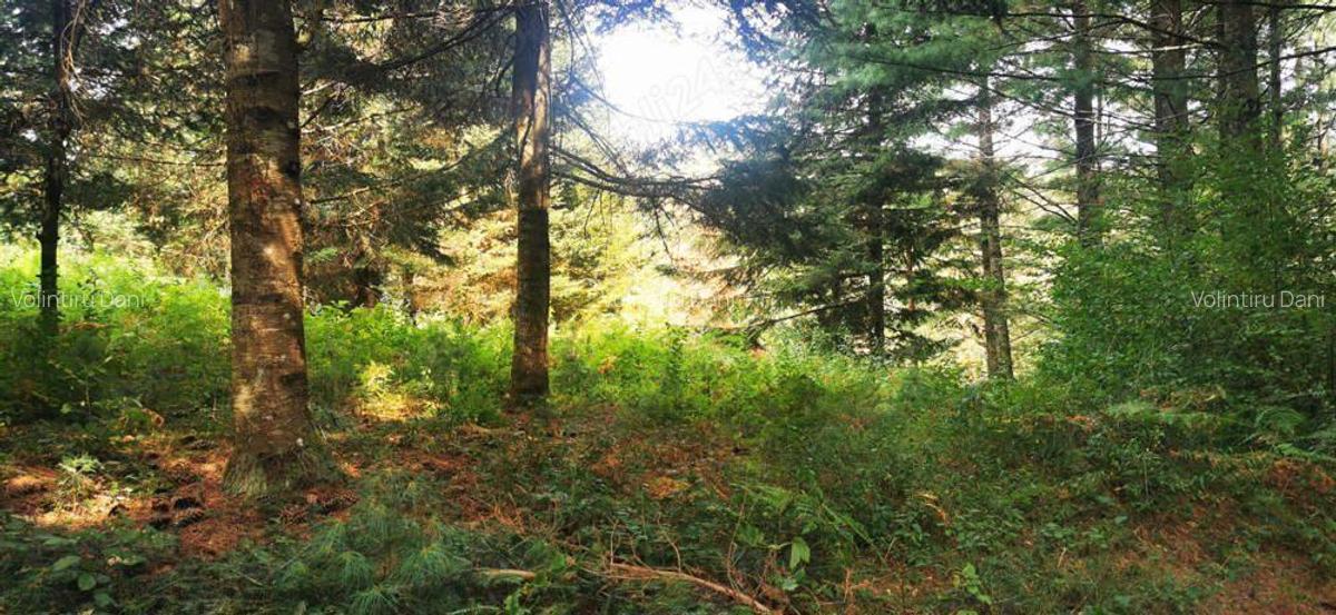 Teren Valiug 900-2400 mp acces auto utilita?i negociabil - 3