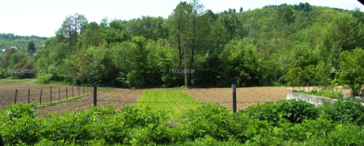 Vad 22000 mp INTRAVILAN BOGATI DJ702C jud Arges - 7