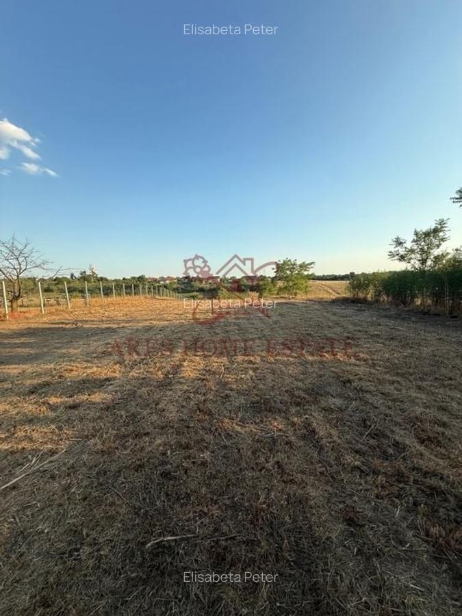 Teren intravilan 2.192 mp cu front 20 m – Seceani, Timiș - 4