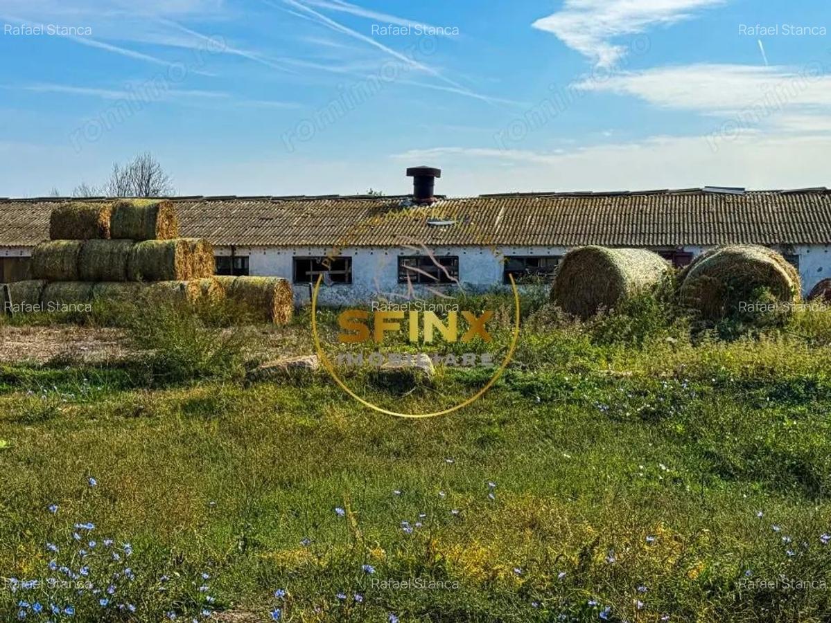 Teren intravilan cu potential de investitie 62000mp - 15