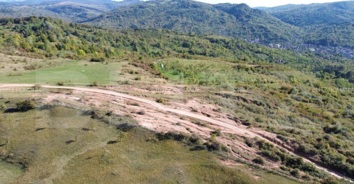 Teren extravilan, 41.631,00 mp, zona Pietrosita - 7