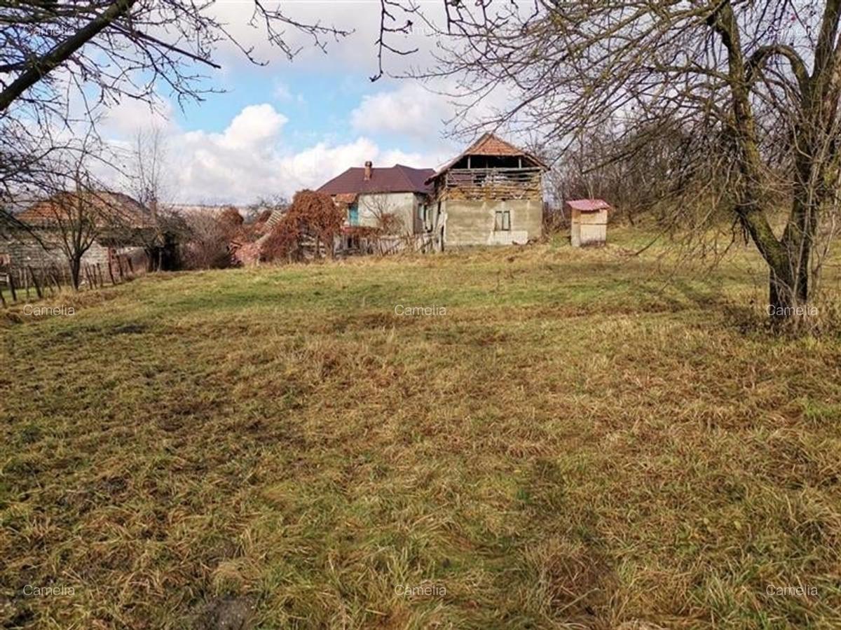 Casă cu 3500 mp Teren, Schitu-Golești, Argeș! - 2