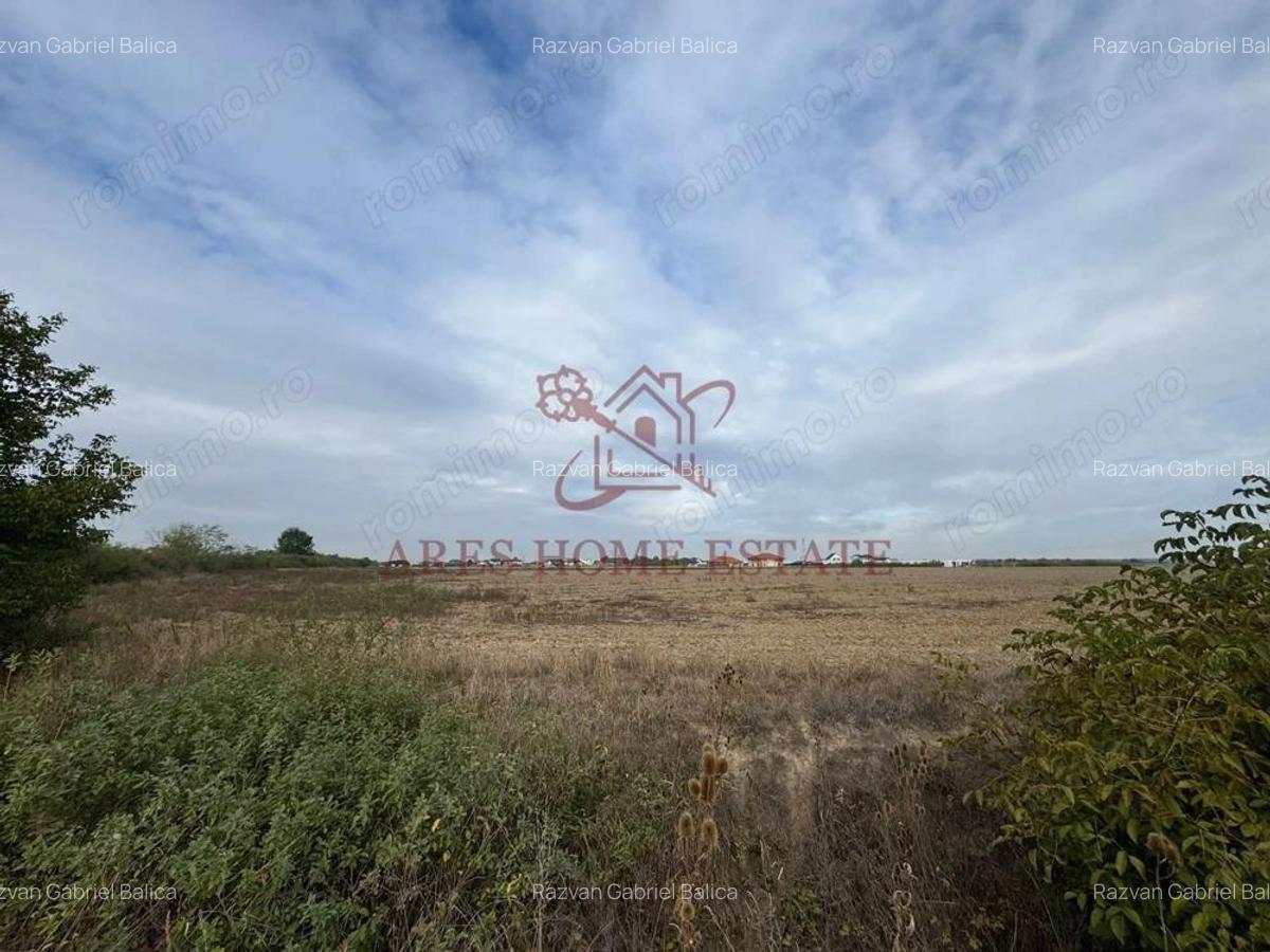 Teren parcelabil cu toate utilitatile 10.000 mp Mo?ni?a Noua 18 /mp - 3