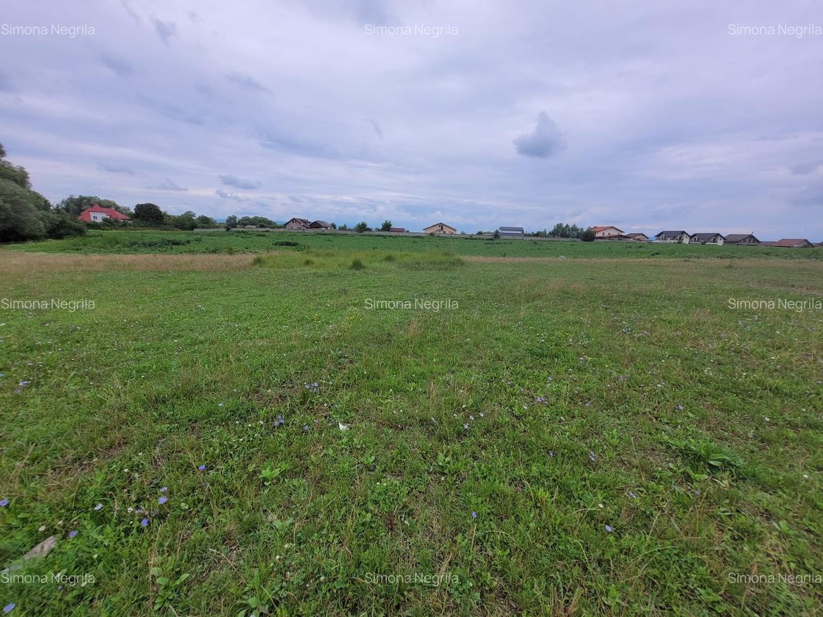 Teren intravilan 947mp, Sanpetru, Brasov - 10