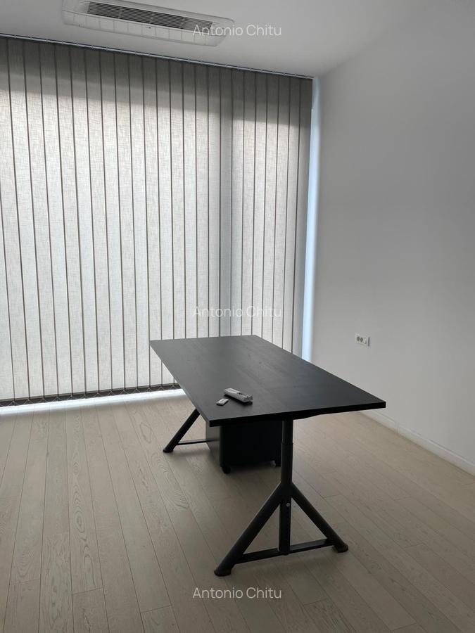 Penthouse Herăstrău de Închiriat! - 10