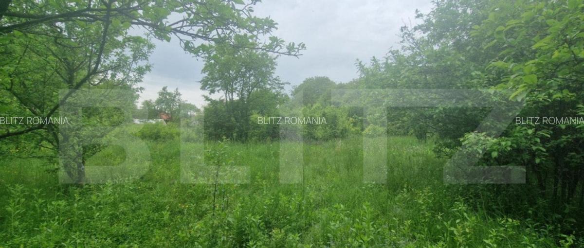 Teren intravilan, 4230 mp, Baicoi - 5