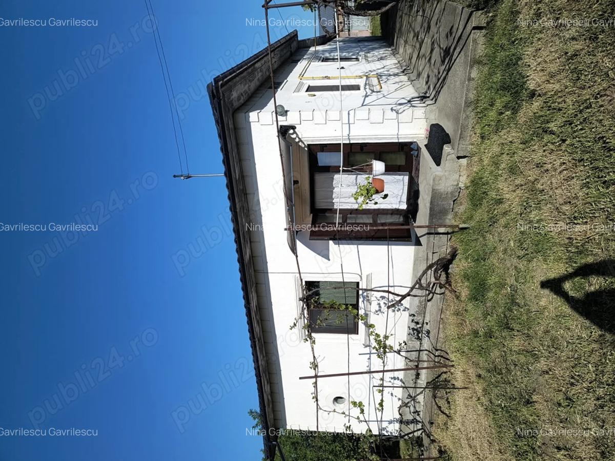 Imobiliare casa de vanzare - 1