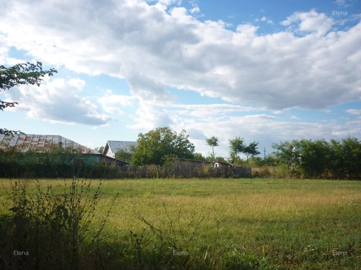 Teren 5000 mp,Niculesti –Peris –Ilfov - 2