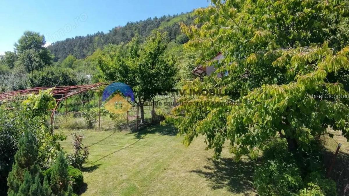 Casa + teren de vanzare - Garcina - 3