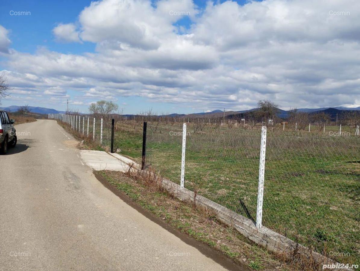 Vand casa si teren in Halmagel, jud. arad - 3