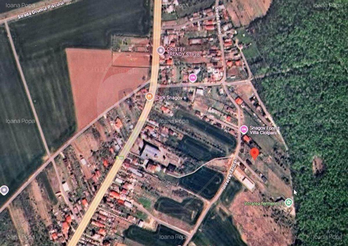 Lot teren 450 mp langa padure Ciolpani Fermei - 4