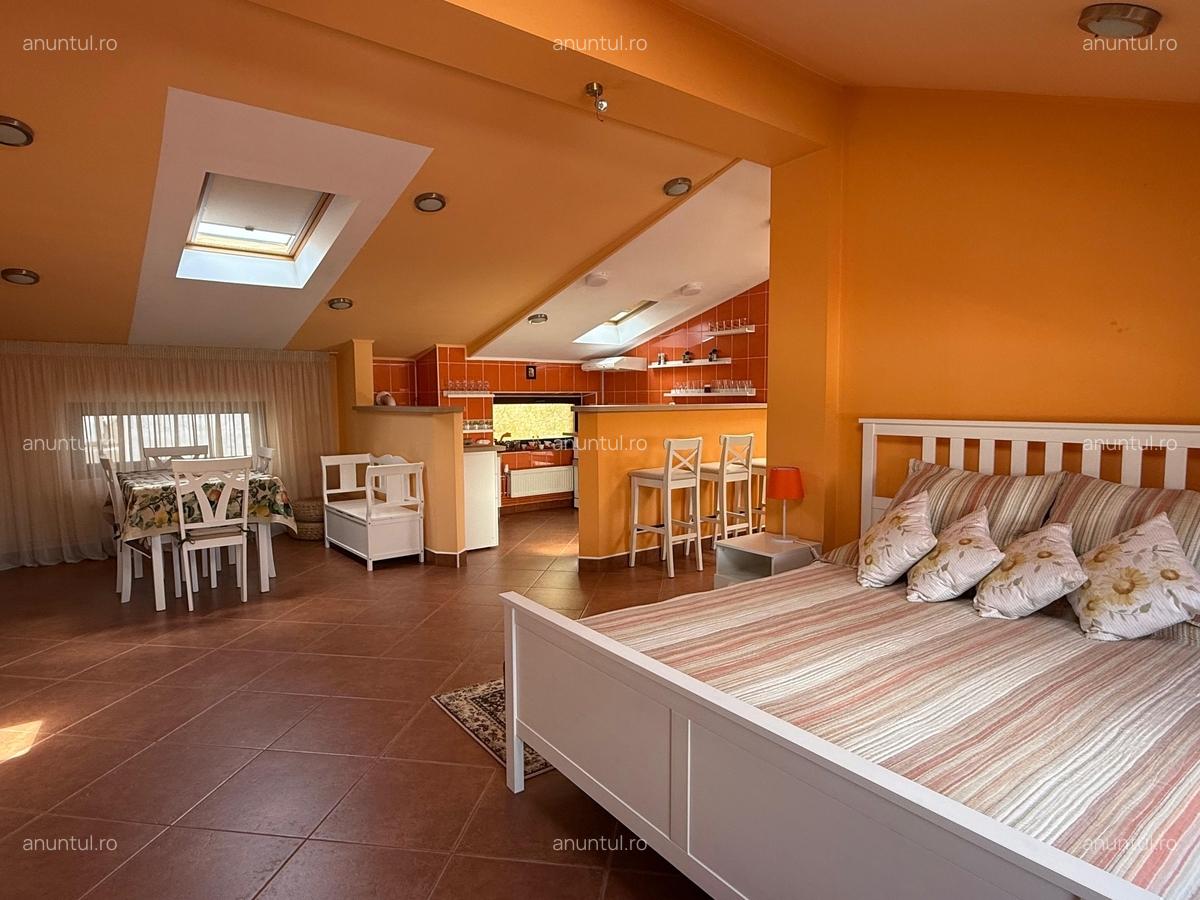 Dorobanti, Tudor Stefan - 17