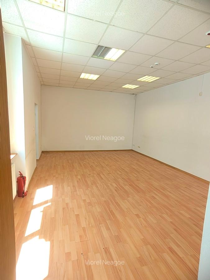 Vila de inchiriat Cismigiu Stirbei Voda - 11