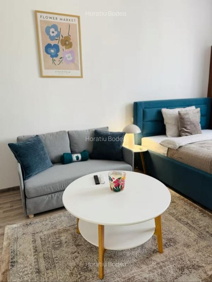 Inchiriere Studio Recent Renovat in zona UMF_Hasdeu - 2