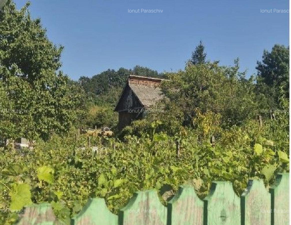 Casa si teren cota parte 3/16, Vladiceni, ID: R2764937 - 2