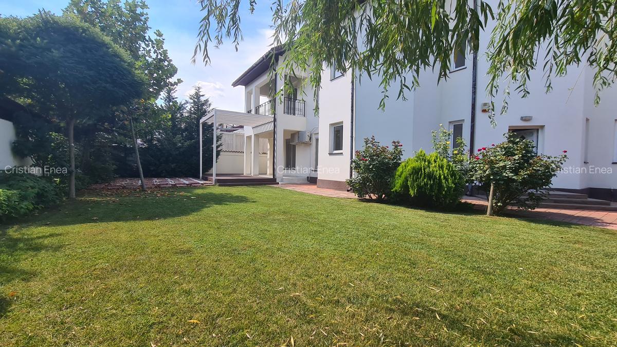 Vila deosebita Iancu Nicolae - British School - 5