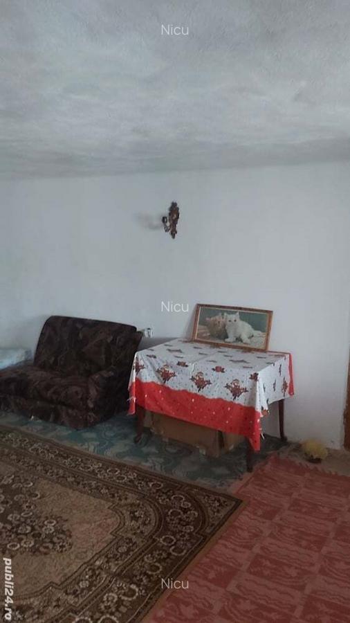 Vand casa cu curte in jud Calara?i - 6