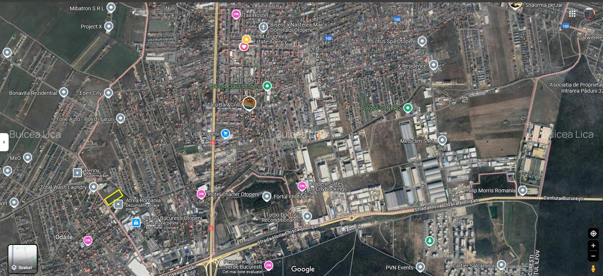 Teren in suprafata de 7341 mp - Odai -intravilan - 2