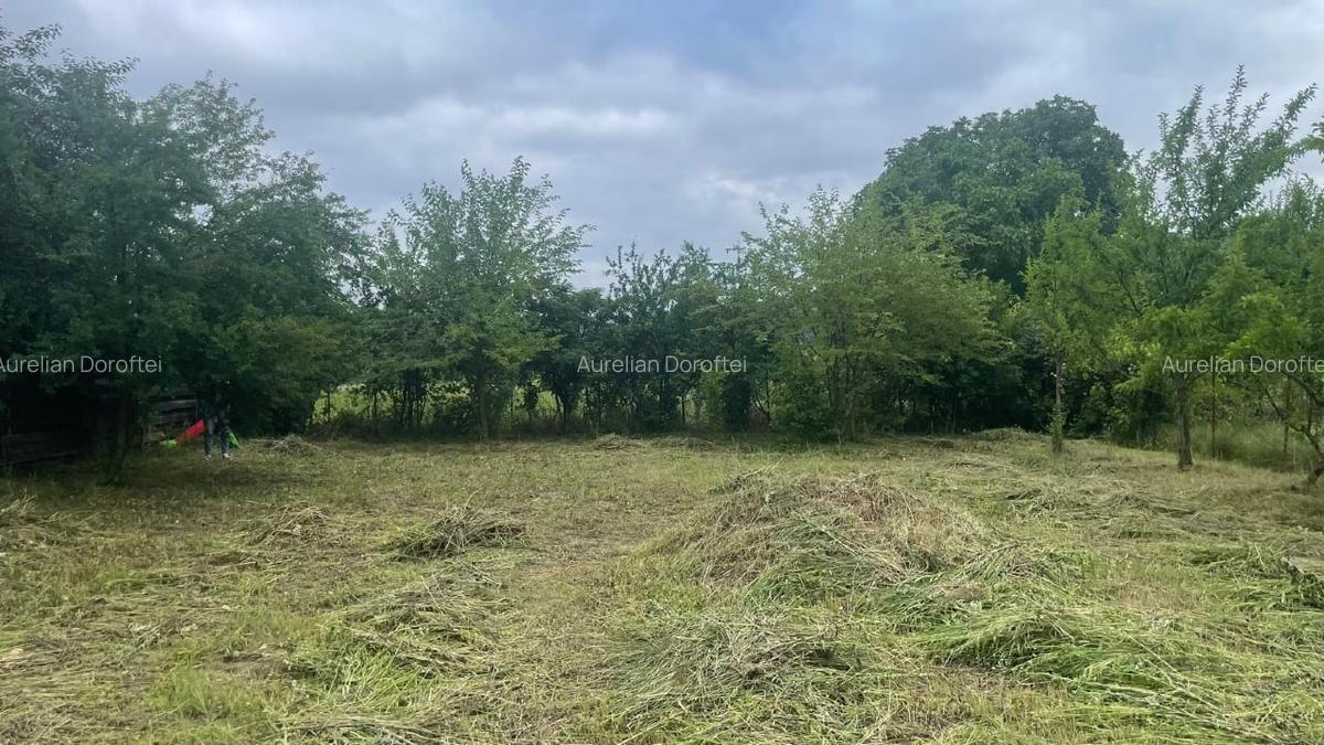Teren intravilan 556mp Bârnova - pret negociabi - 4