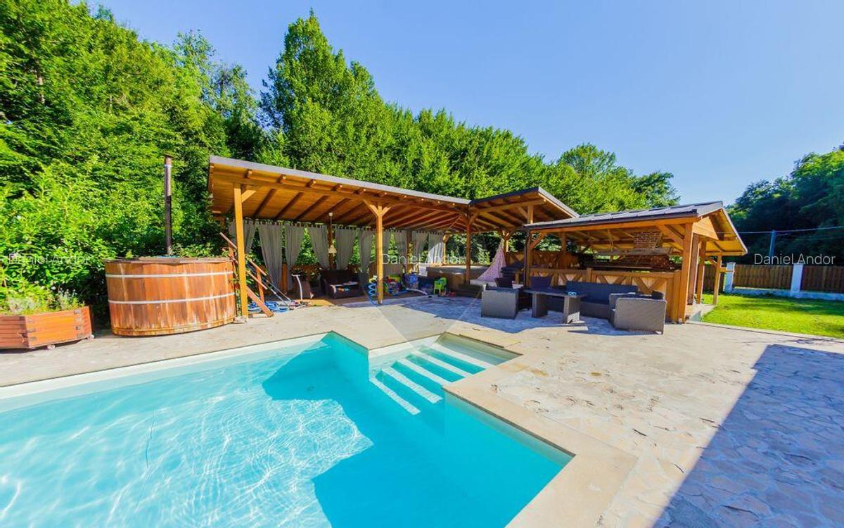 Casa de vis in Loc. Intrerauri - 12