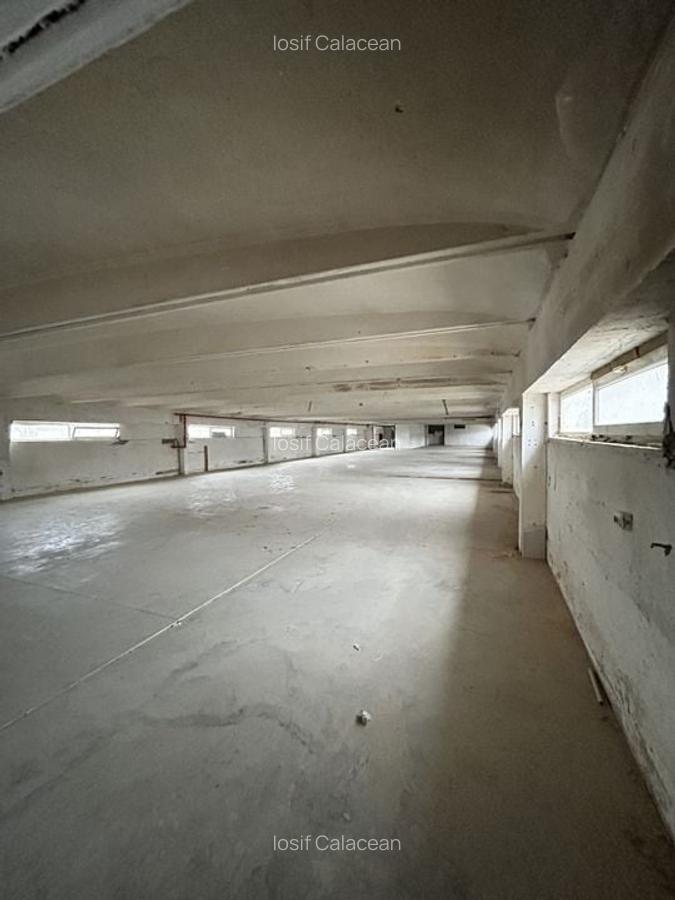 Hala Industriala Gradiste De Inchiriat - 7