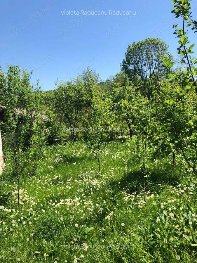 Casa de vanzare in Comuna Bezdead sat Magura Jud Dambovita - 7