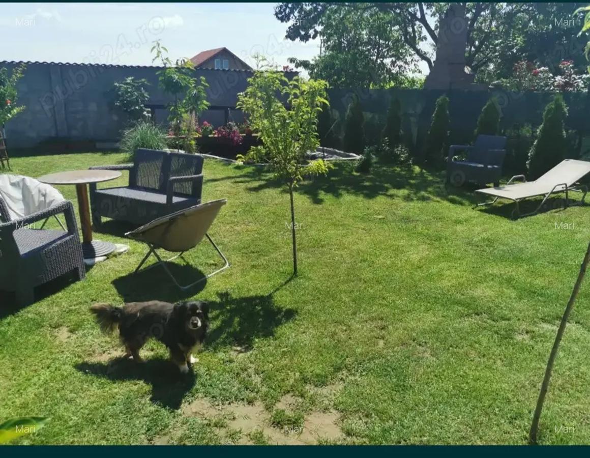 Vand casa individuala - 2