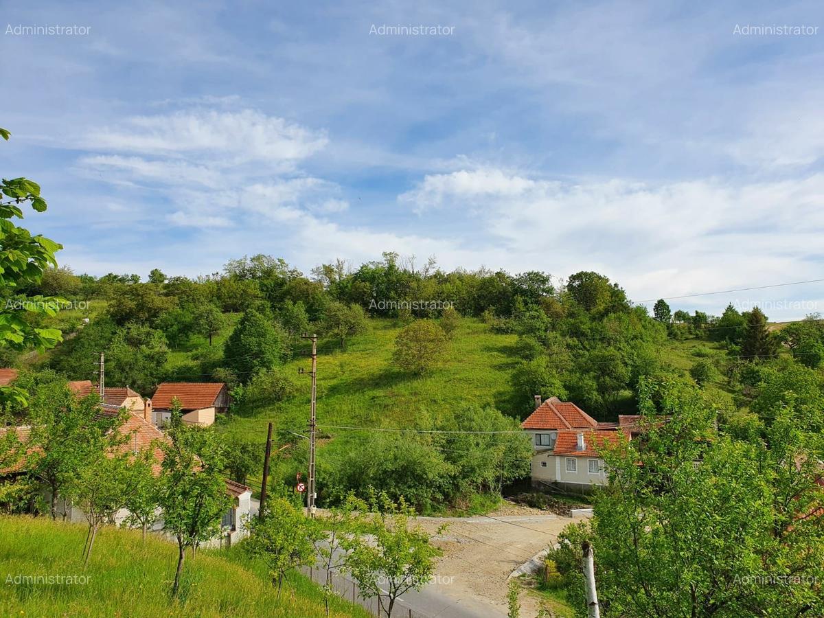 Vind vila in satul ROD- Pe drumul TRANSALPINA - 15