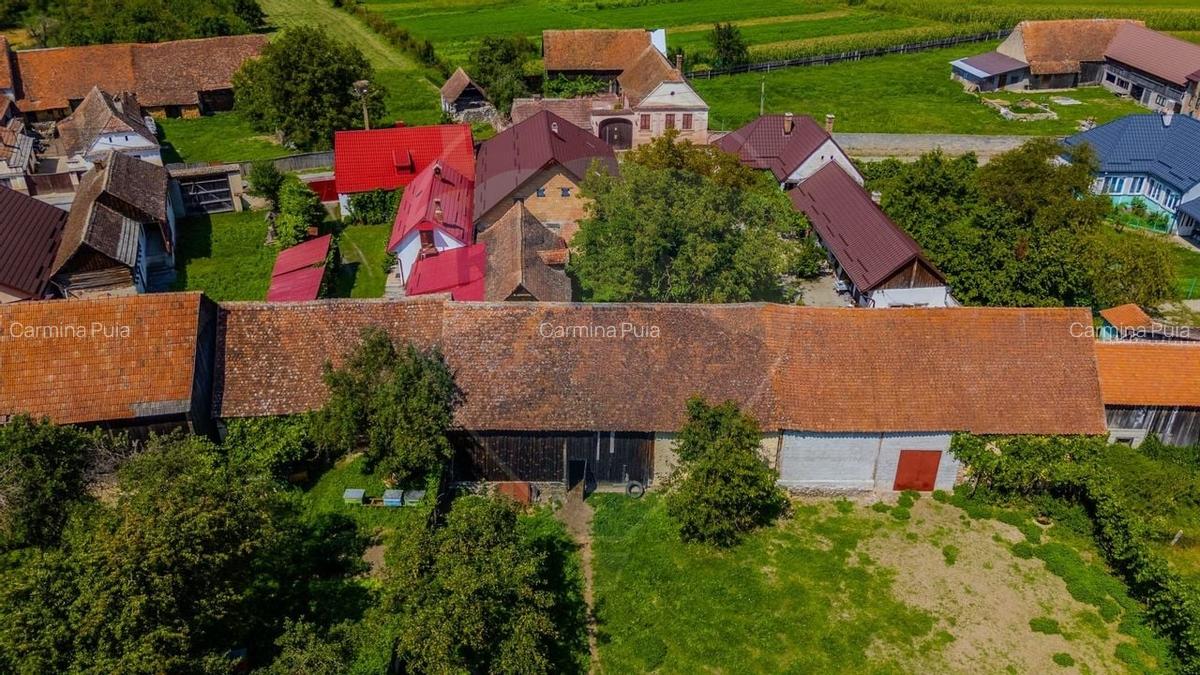 Casa saseasca cu gradina de VANZARE/ Bogata Olteana/ Hoghiz - 20