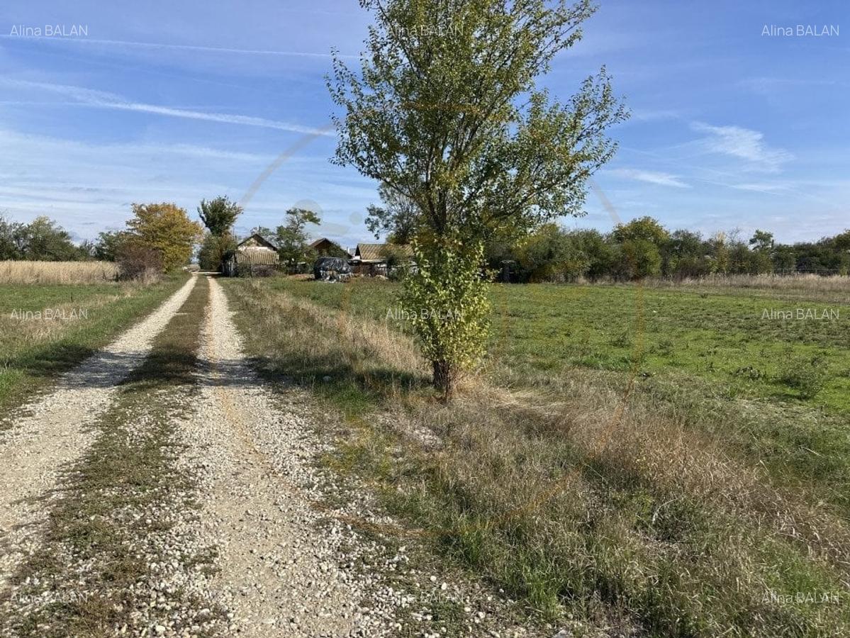 Teren Intravilan com. Ratesti - 4