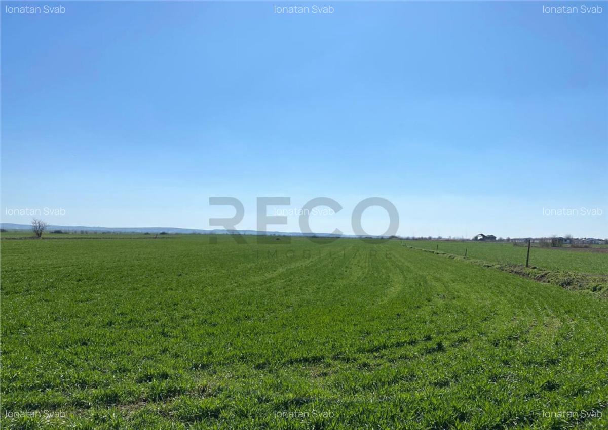 RECO Casa in Tamaseu 18km de Oradea - 10