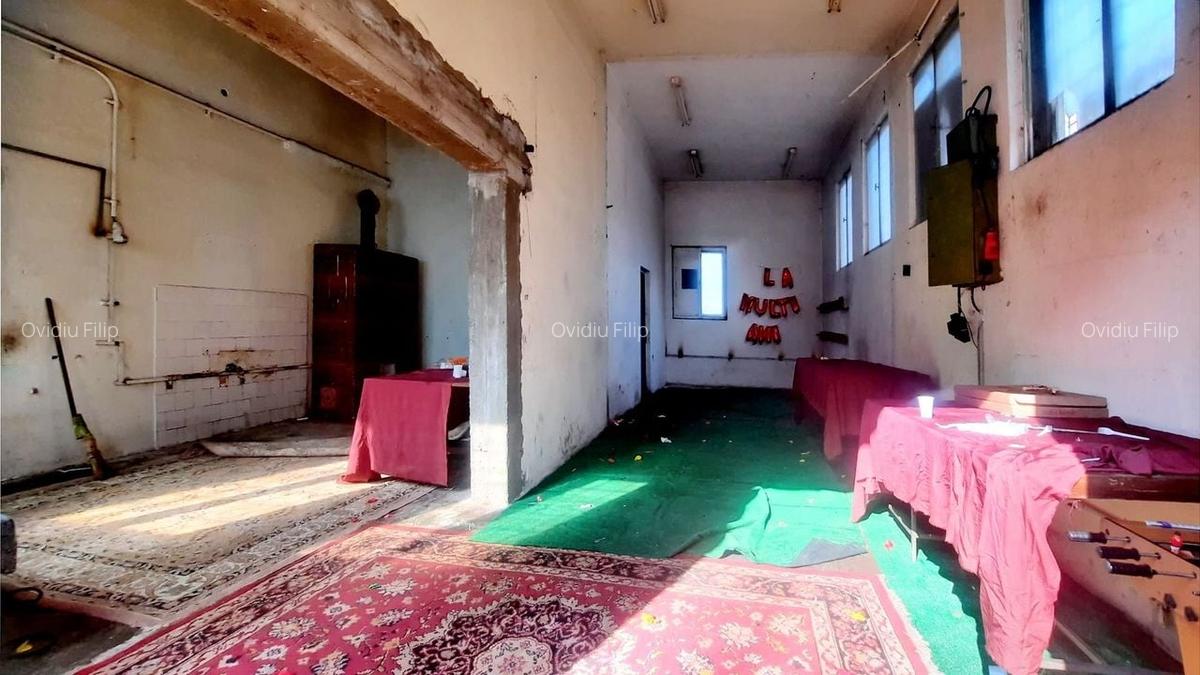 Spațiu industrial, 250 mp în Carierei - 7