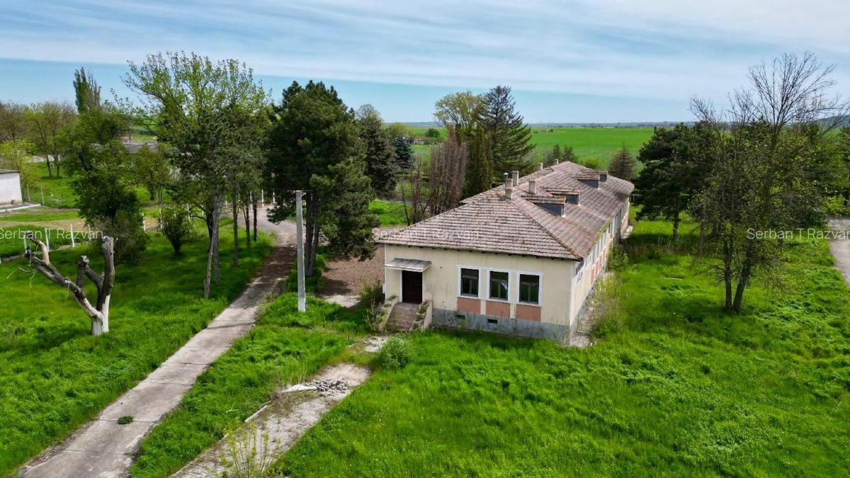 FERMĂ DE VÂNZARE – Partizanu, județul Constanța - 5
