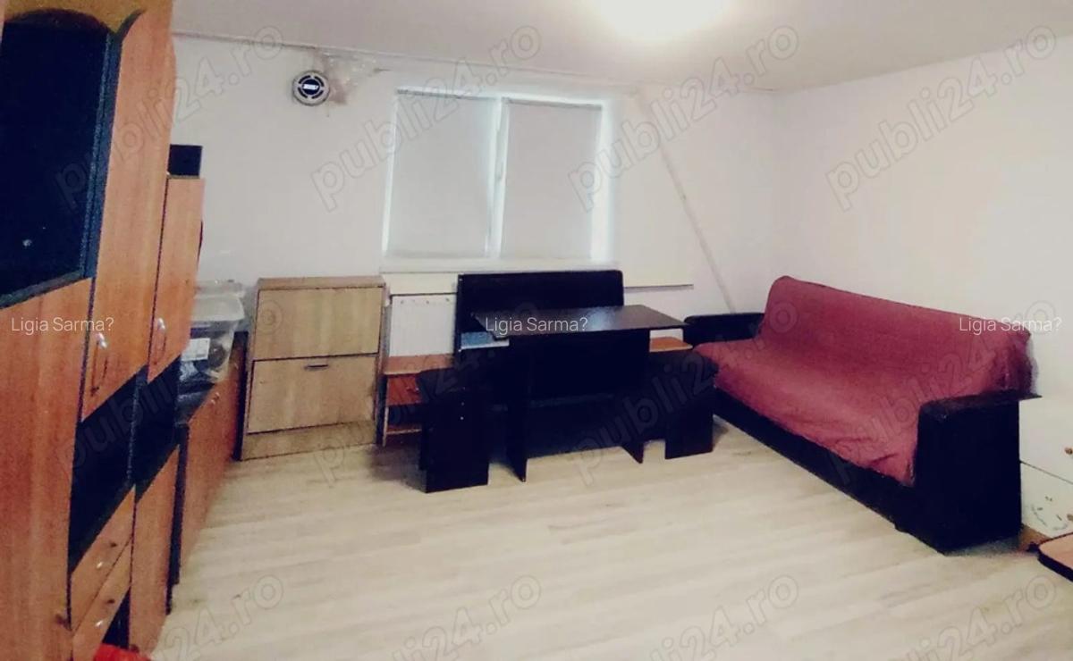 Vand casa Pecica - 10