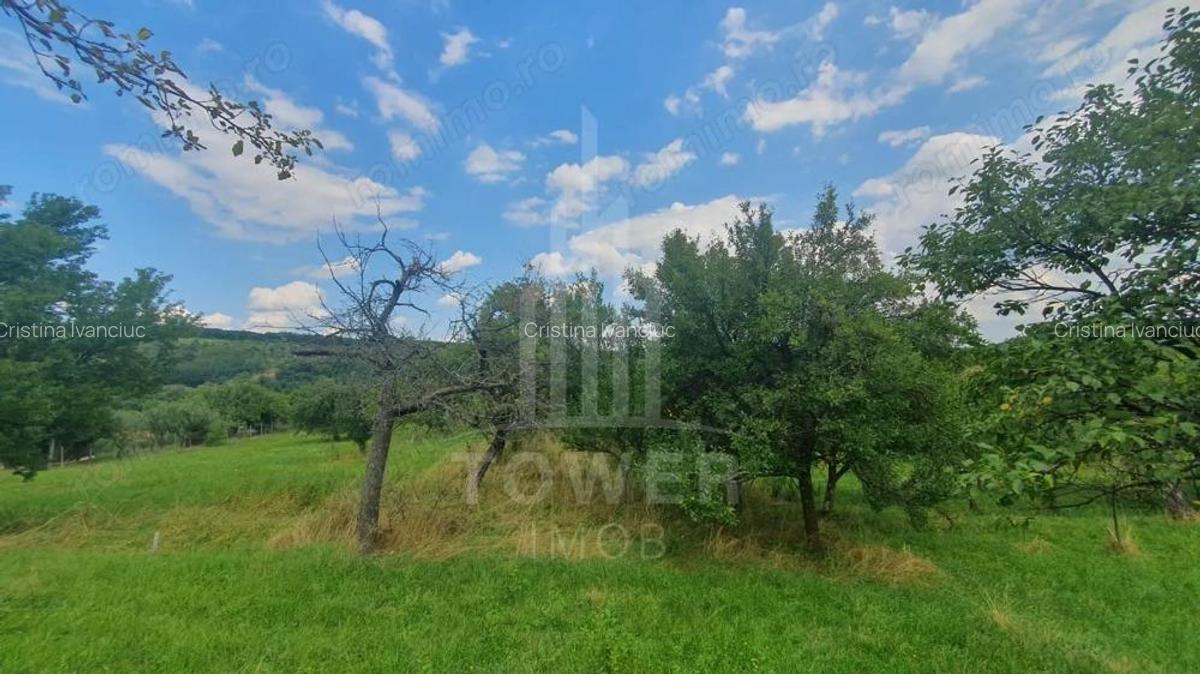 Teren de vanzare in Sibiel . - 2