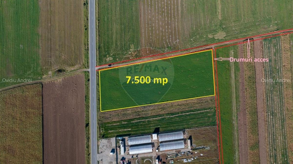 Teren 7,500mp Tarlungeni / Strada Zizinului - 10