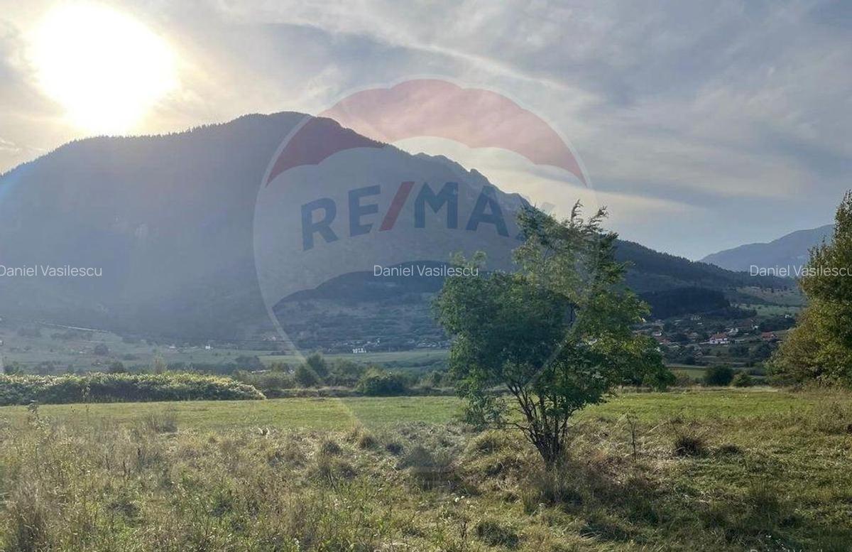 Teren Zarnesti- Tohanita, 4312 mp, deschidere generoasa d... - 6