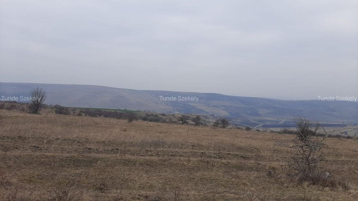 Teren agricol pentru investitii, zona Valea Calda -Iris - 8