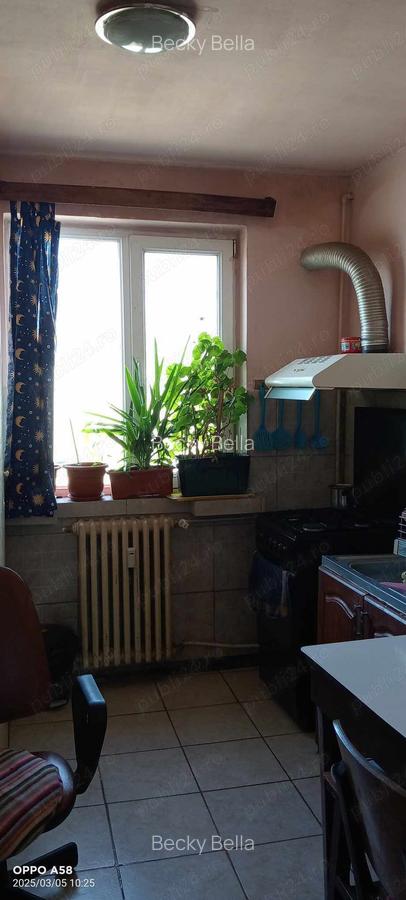 Vanzari apart.3 camere - 5